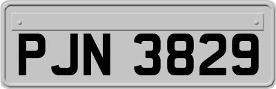 PJN3829