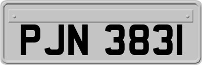 PJN3831