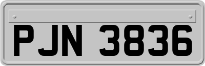 PJN3836