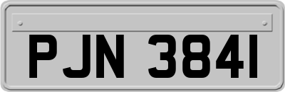 PJN3841