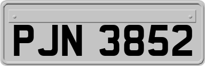PJN3852