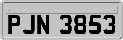 PJN3853