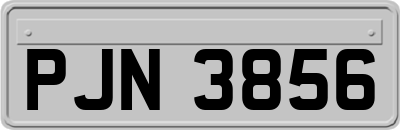 PJN3856