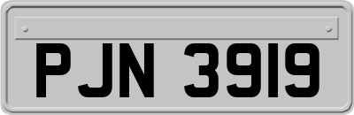 PJN3919