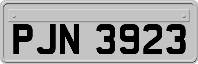 PJN3923