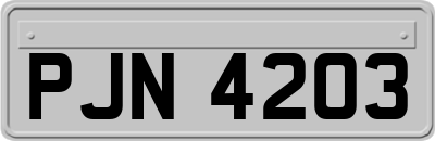 PJN4203