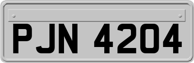 PJN4204