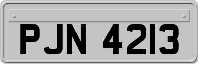 PJN4213