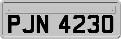 PJN4230