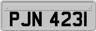 PJN4231