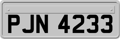 PJN4233