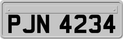 PJN4234