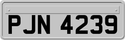 PJN4239