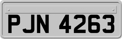 PJN4263