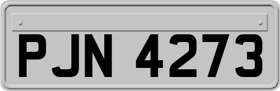 PJN4273