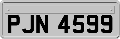 PJN4599