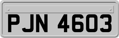 PJN4603