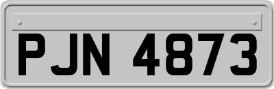 PJN4873
