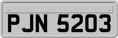 PJN5203