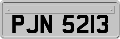 PJN5213