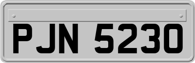 PJN5230