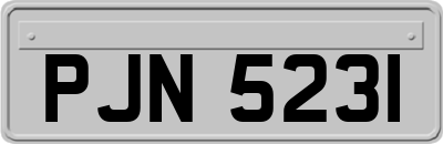 PJN5231