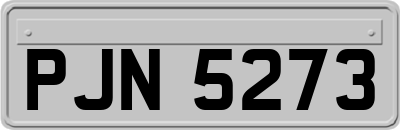 PJN5273