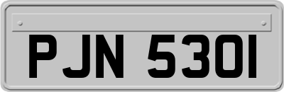 PJN5301