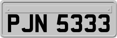 PJN5333