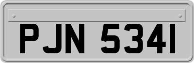 PJN5341