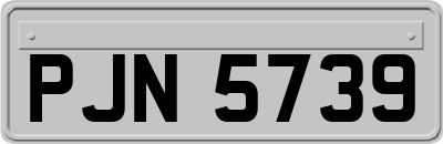 PJN5739