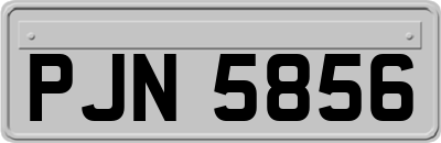 PJN5856