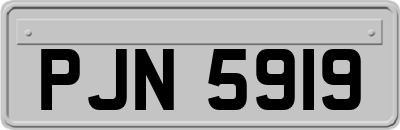 PJN5919