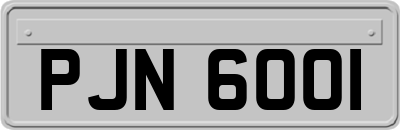 PJN6001