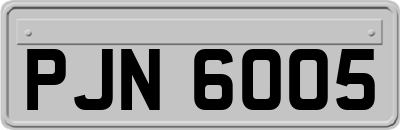PJN6005