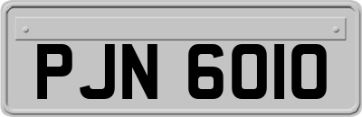 PJN6010