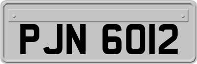 PJN6012