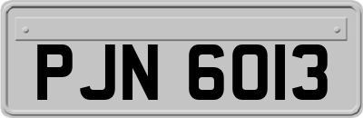PJN6013