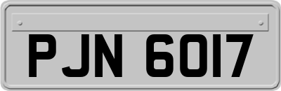 PJN6017