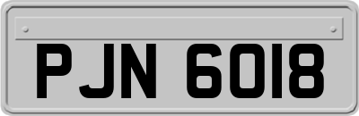 PJN6018