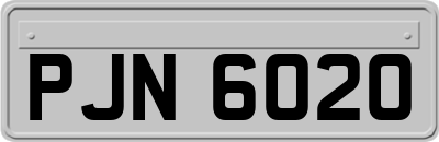 PJN6020