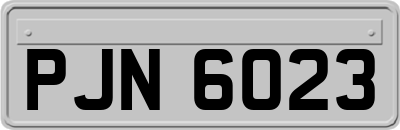 PJN6023