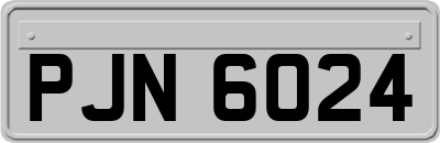 PJN6024
