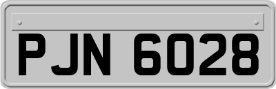 PJN6028