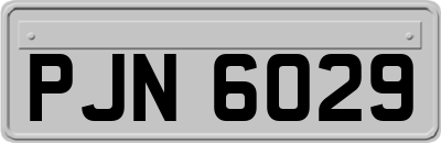 PJN6029