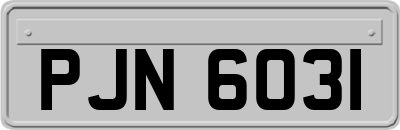 PJN6031