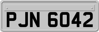 PJN6042
