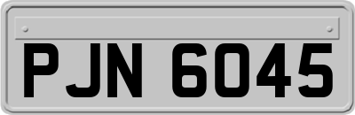 PJN6045