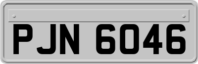 PJN6046
