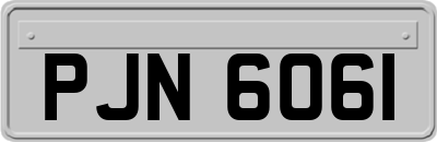 PJN6061